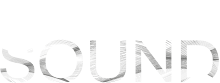 DryWetSound logo
